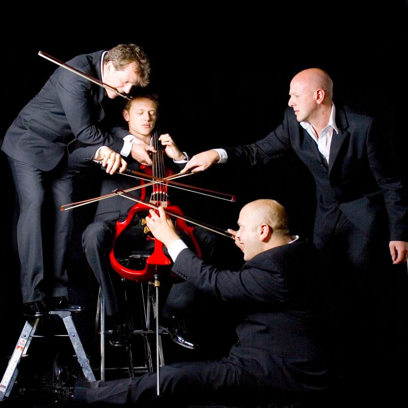 string frenzy